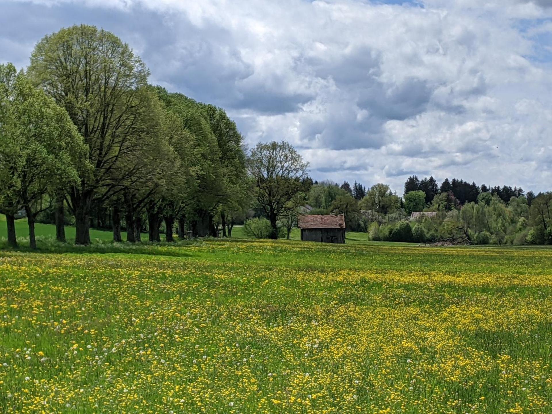 Hotel Germania Bad Wörishofen Buitenkant foto